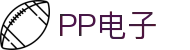 PP电子·(中国)官方网站